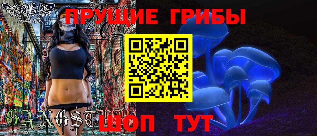 Тихвин  Галлюциногенные грибы Cubensis  Вход с VPN  Псилоцибиновые грибы ЛСД 
